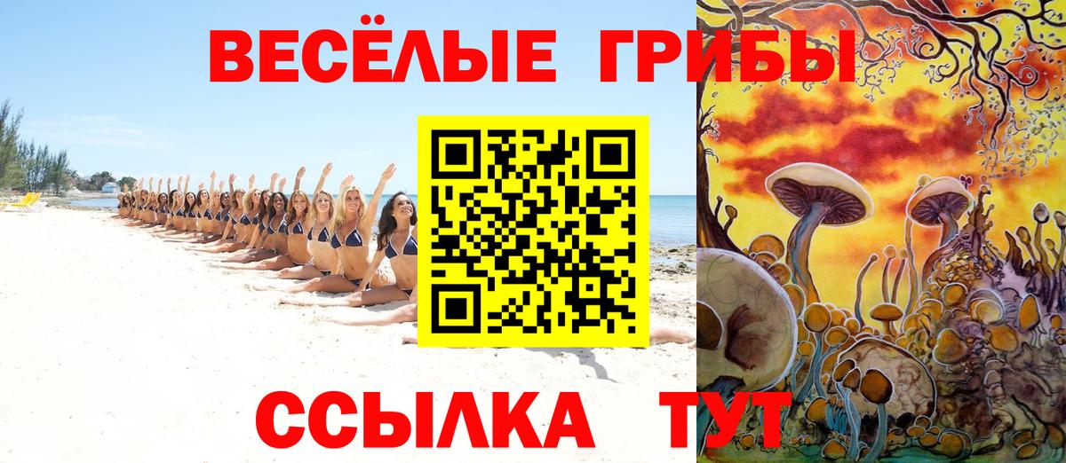 Галлюциногенные грибы Psilocybine cubensis  Вход с VPN  Орехово-Зуево 
